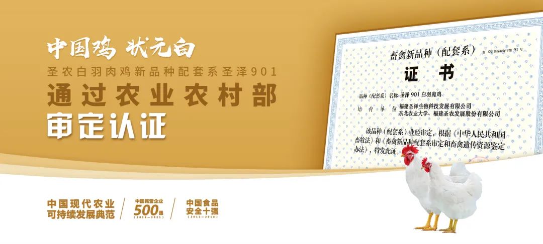南宫国际(中国游)官方网站