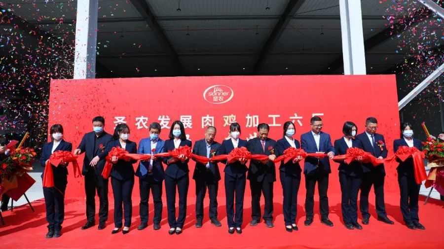 南宫国际(中国游)官方网站