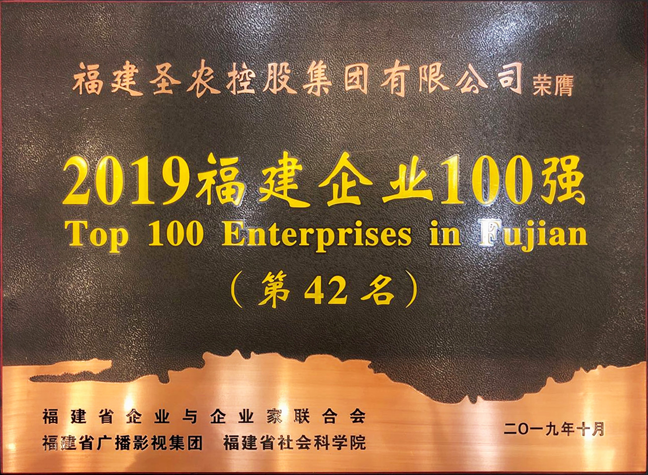 2019（南宫国际集团）福建企业100强