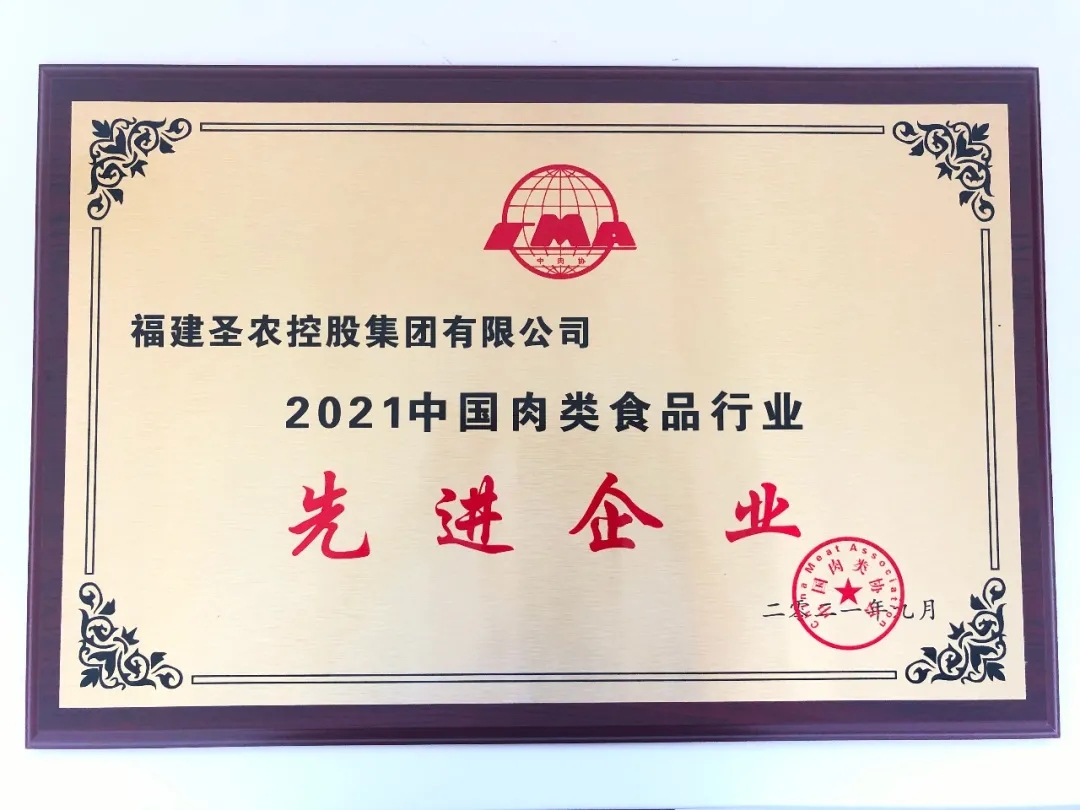 2021（南宫国际集团）中国肉类食物行业先进企业