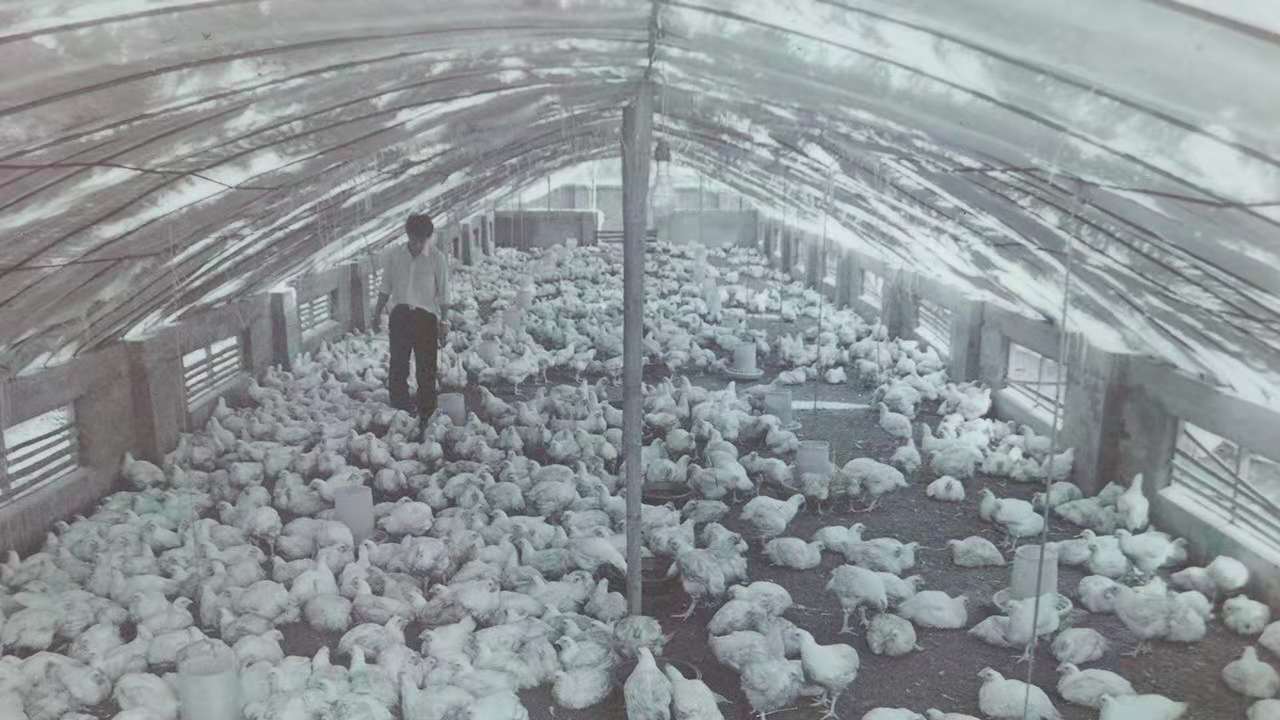 南宫国际(中国游)官方网站